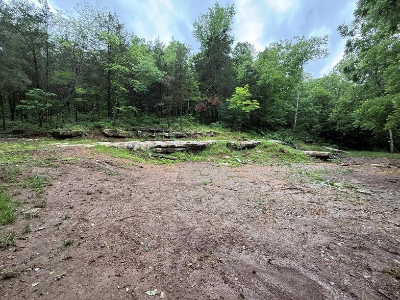 More Photos Of 940 Riley Creek Rd, Whitleyville Land For Sale