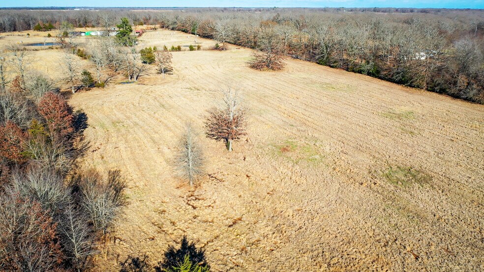 More Photos Of 1200 County 1255 rd, Detroit Land For Sale