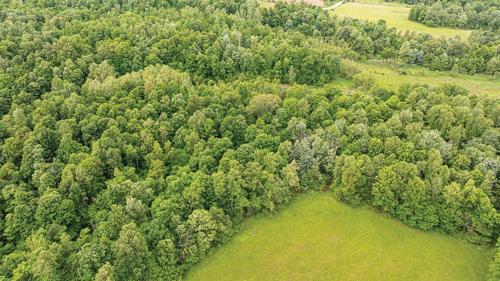 More Photos Of 2475 W County Road 1050 S, Cloverdale Land For Sale