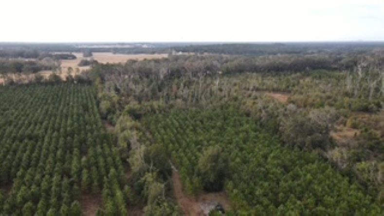 More Photos Of 10602 NW 143rd St, Alachua Land For Sale