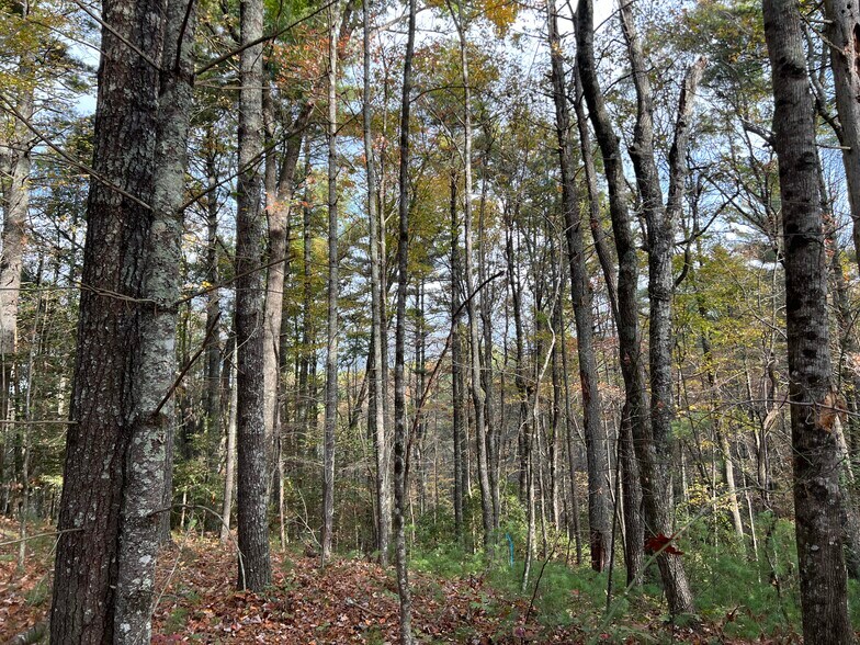 More Photos Of Whitecliff Drive, Ellijay Land For Sale