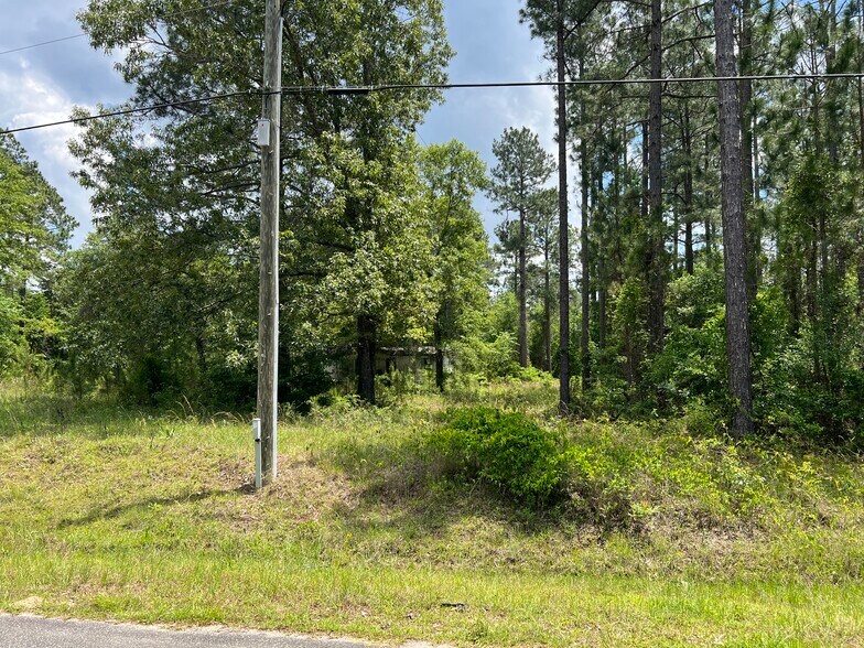 More Photos Of Rock Hill rd, Cochran Land For Sale