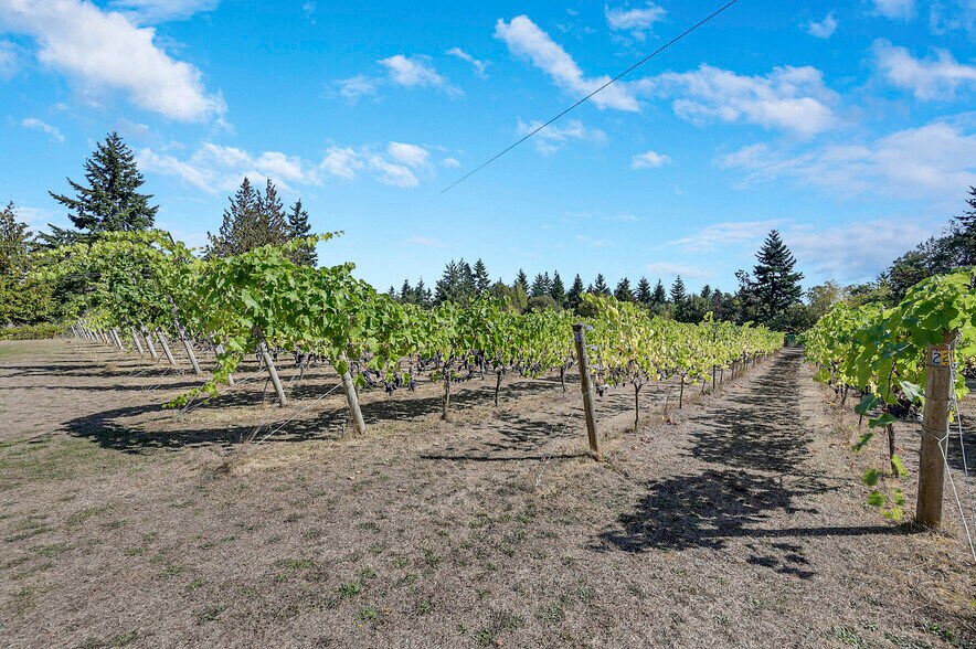 More Photos Of 1673 Woodland Dr, Port Townsend Winery Vineyard For Sale