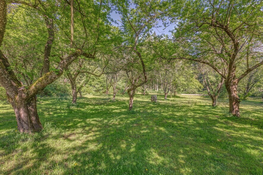 More Photos Of 4290 Mt Baker hwy, Everson Winery Vineyard For Sale