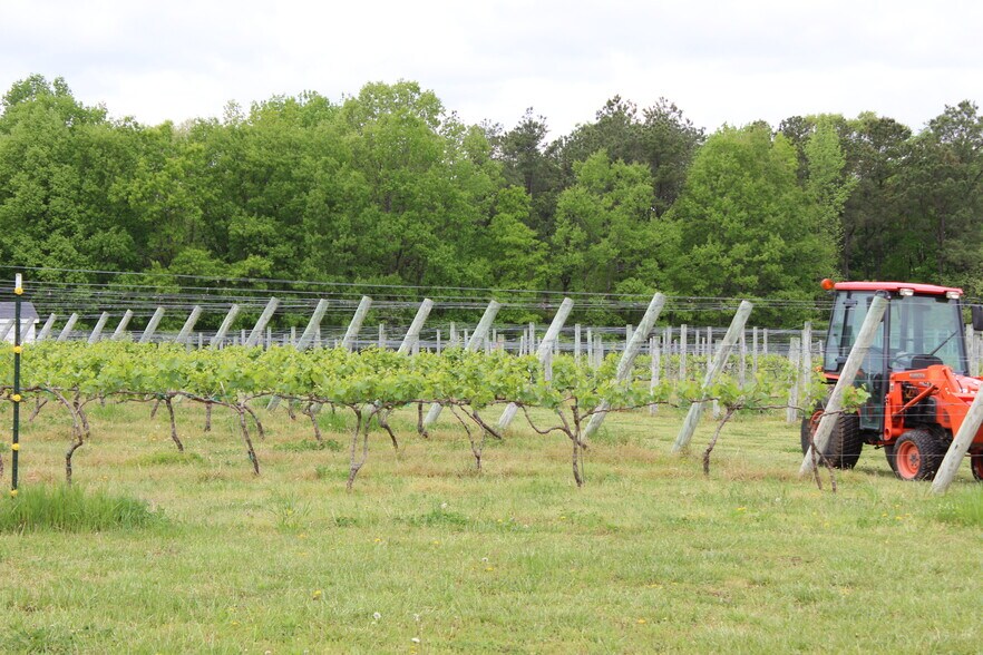 More Photos Of 495 Meadow Landing Ln, Caret Winery Vineyard For Sale