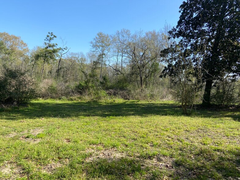 More Photos Of 24030 Hegar Rd, Hockley Land For Sale