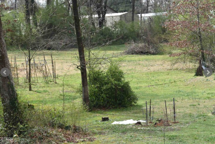 More Photos Of 3814 Highway 17 Hwy, Eastanollee Land For Sale