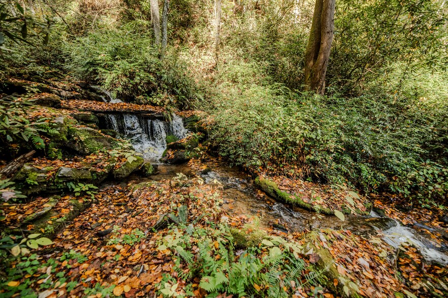 More Photos Of 195 Still Waters Ln, Brevard Land For Sale