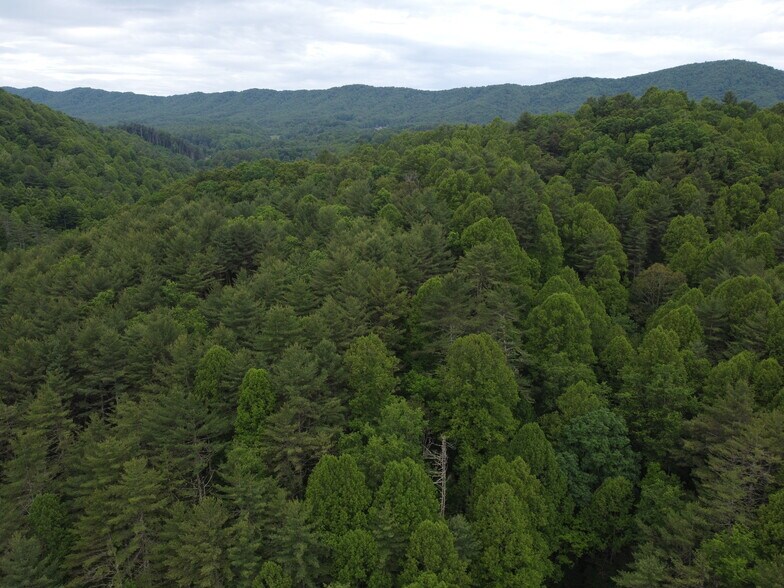 More Photos Of 6421 Highway 91 N, Laurel Bloomery Warehouse For Lease