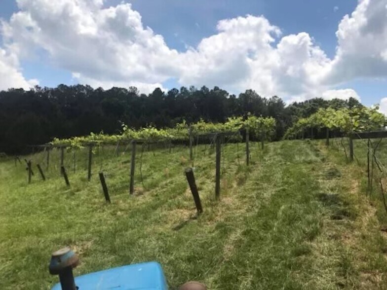 More Photos Of 77 Little River Rd, Carrollton Specialty For Sale