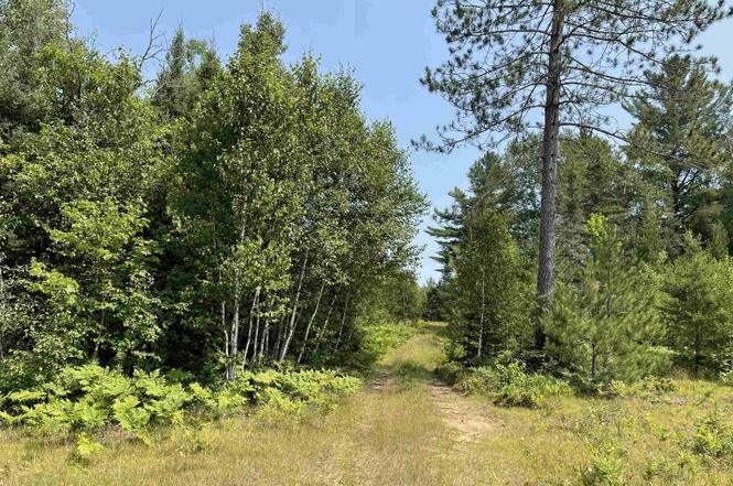 More Photos Of 26497 US-41, Covington Flex For Sale