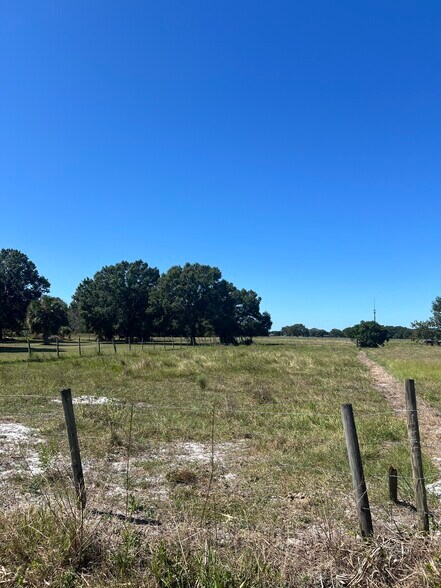More Photos Of 7900 Block Highway 60, Bartow Land For Sale
