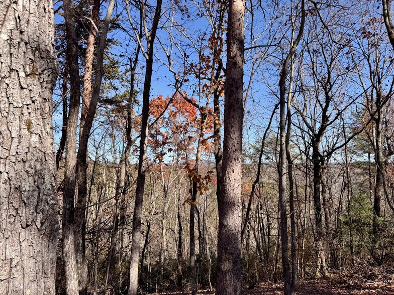 More Photos Of 536 Vayhaus Trl, Ellijay Specialty For Sale