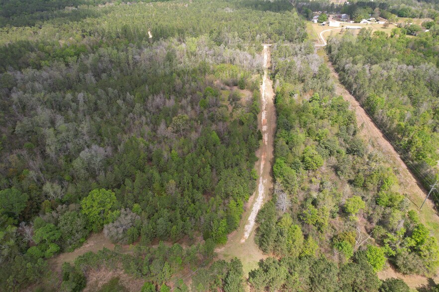 More Photos Of 12960 County Road 48, Silverhill Land For Sale