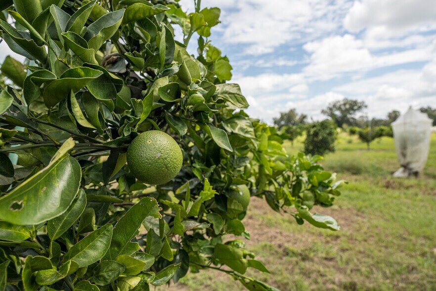 More Photos Of 32715 Singletary Rd. rd, Myakka City Land For Sale