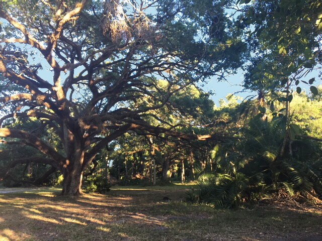 More Photos Of 6200 Bayshore Rd, North Fort Myers Land For Sale