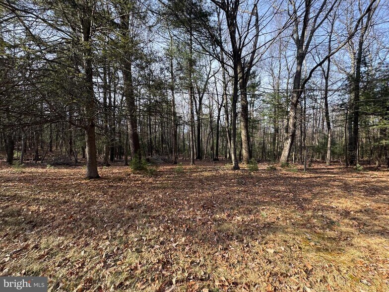 More Photos Of 2137 Newman Rd, Fayetteville Land For Sale