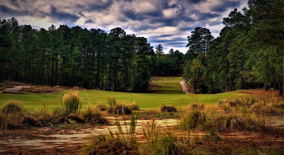 More Photos Of 30000 Deercroft Dr, Wagram Golf Course Driving Range For Sale