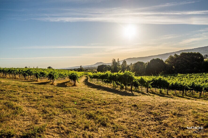 More Photos Of 31630 Forwards Rd, Manton Land For Sale