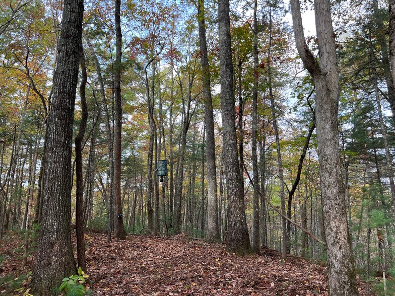 More Photos Of Whitecliff Drive, Ellijay Land For Sale