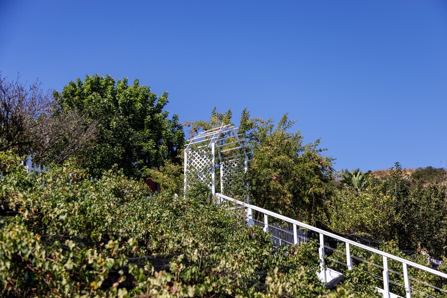 More Photos Of 2286 Sunshine Mountain Rd, San Marcos Winery Vineyard For Sale