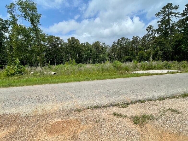 More Photos Of 19094 Galaxy Blvd, New Caney Land For Sale