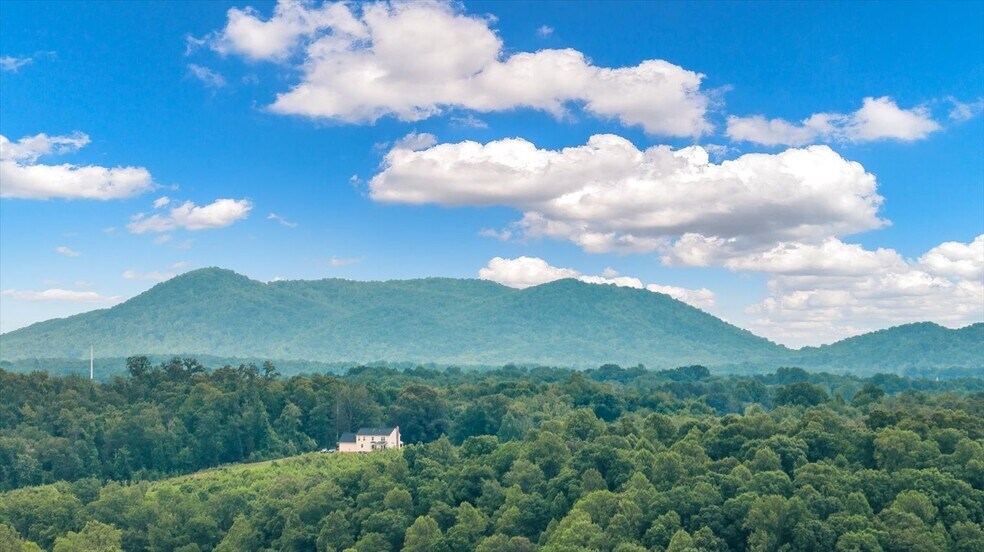 More Photos Of 1830 Thrift Rd, Madison Winery Vineyard For Sale