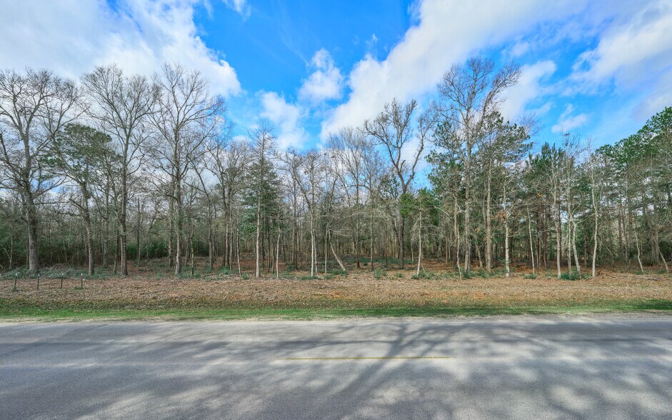 More Photos Of TBD Crockett Martin, Conroe Land For Sale