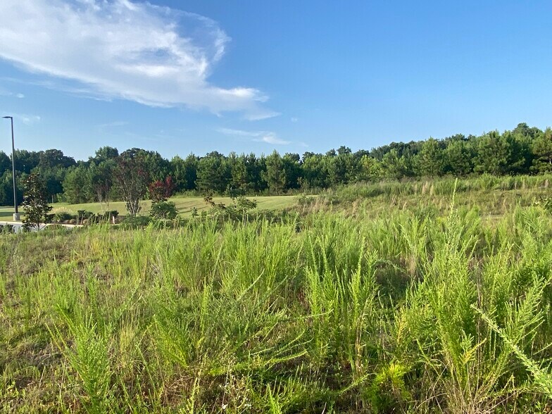 More Photos Of Charles Hardy Pkwy, Dallas Land For Sale