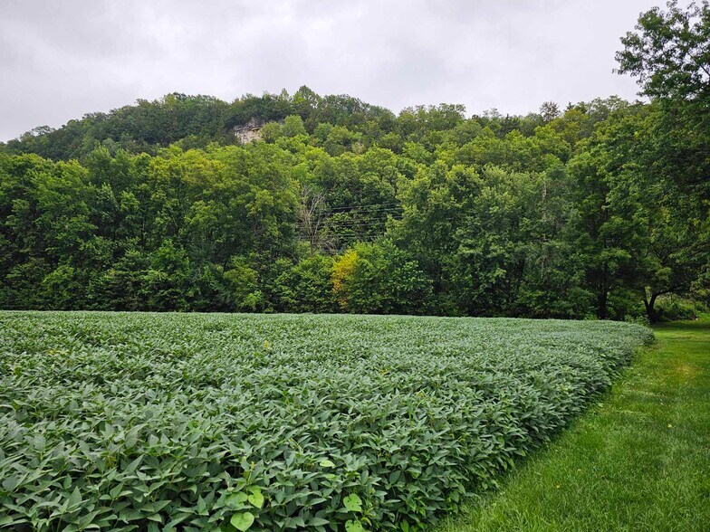 More Photos Of 899 Washington Street St, Prairie Du Chien Land For Sale