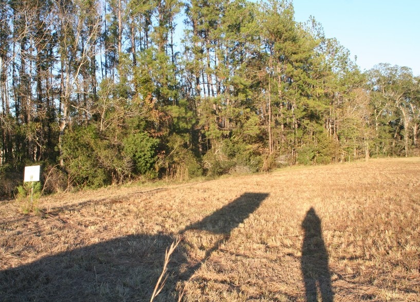More Photos Of 542640 US Highway 1, Callahan Land For Sale