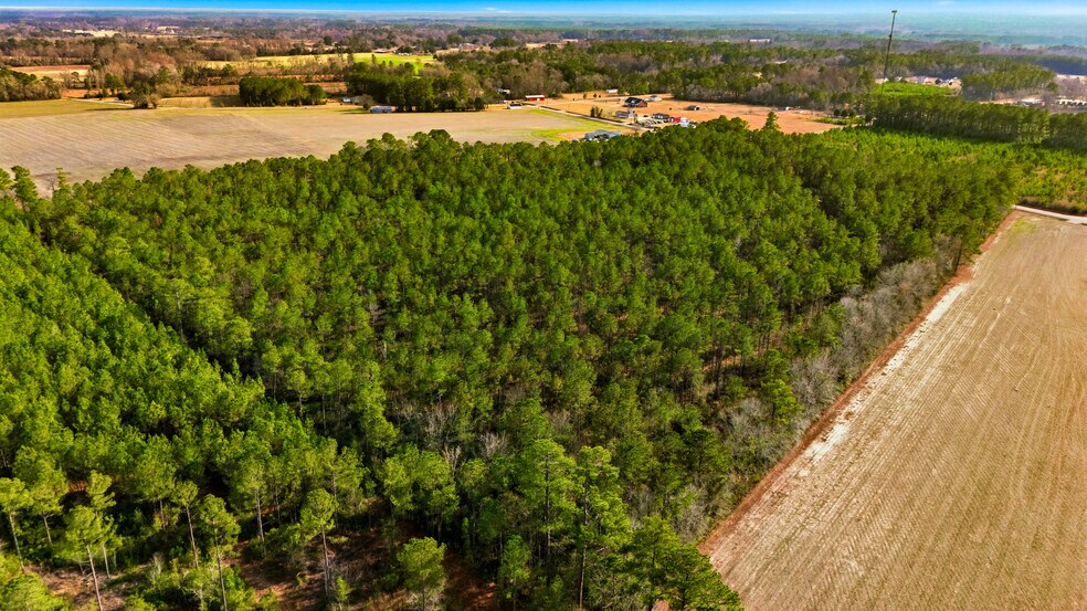 More Photos Of Highway 45, Loris Land For Sale