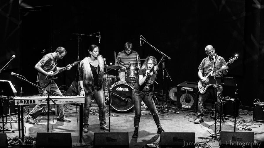 More Photos Of 55 Indian Peaks Dr, Nederland Theater Concert Hall For Sale