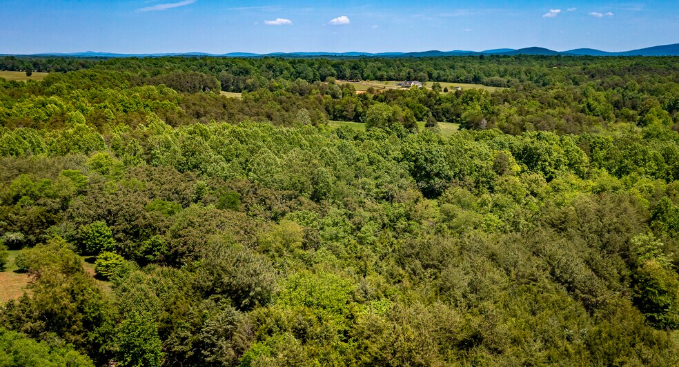 More Photos Of 1245 Carpenters Mill Rd, Ruckersville Land For Sale