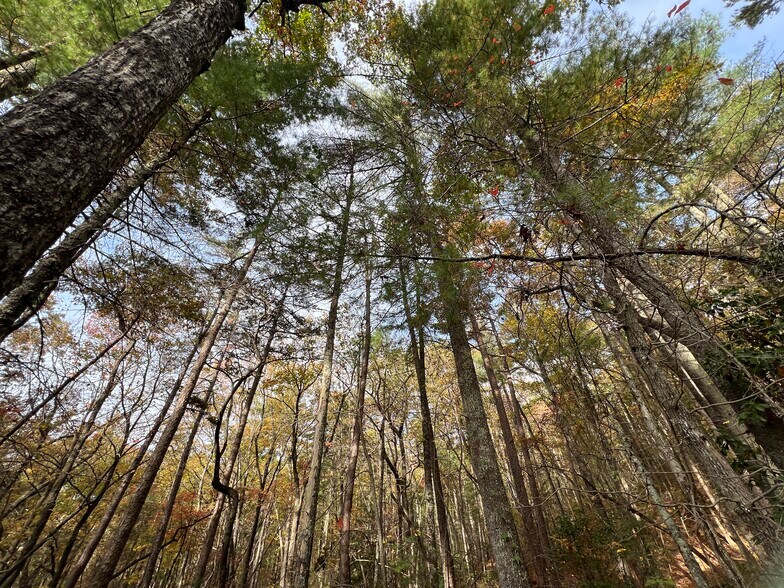 More Photos Of Whitecliff Drive, Ellijay Land For Sale