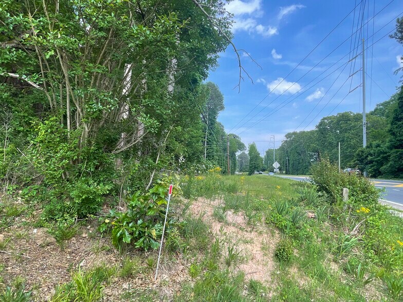 Primary Photo Of 6378 Browns Mill, Stonecrest Land For Sale