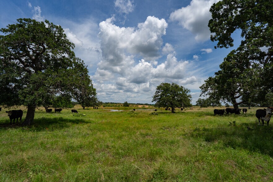 More Photos Of TBD Ranch to Market 1431, Marble Falls Land For Sale