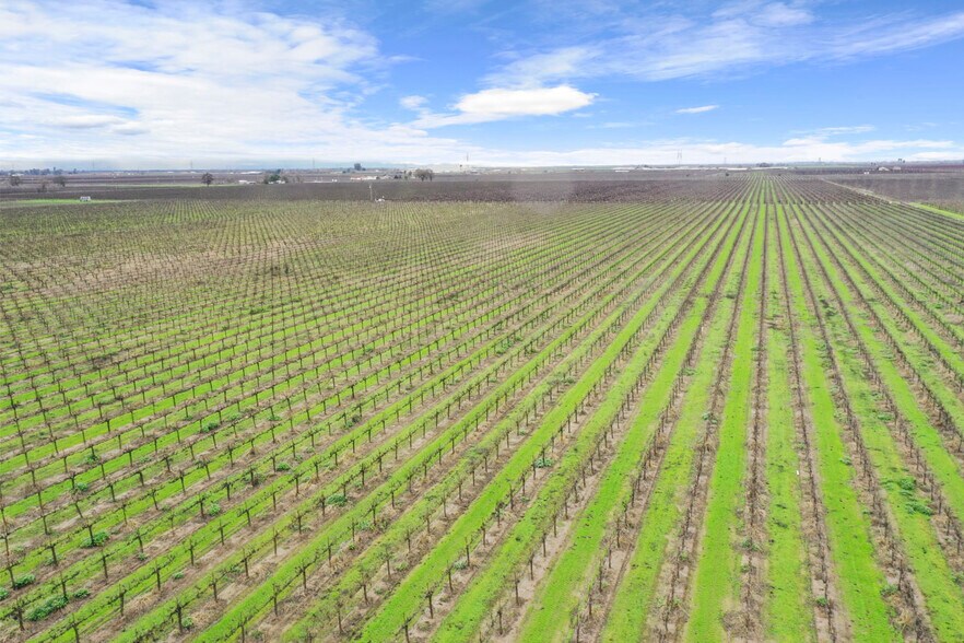 More Photos Of 20325 N Ray Rd, Lodi Land For Sale