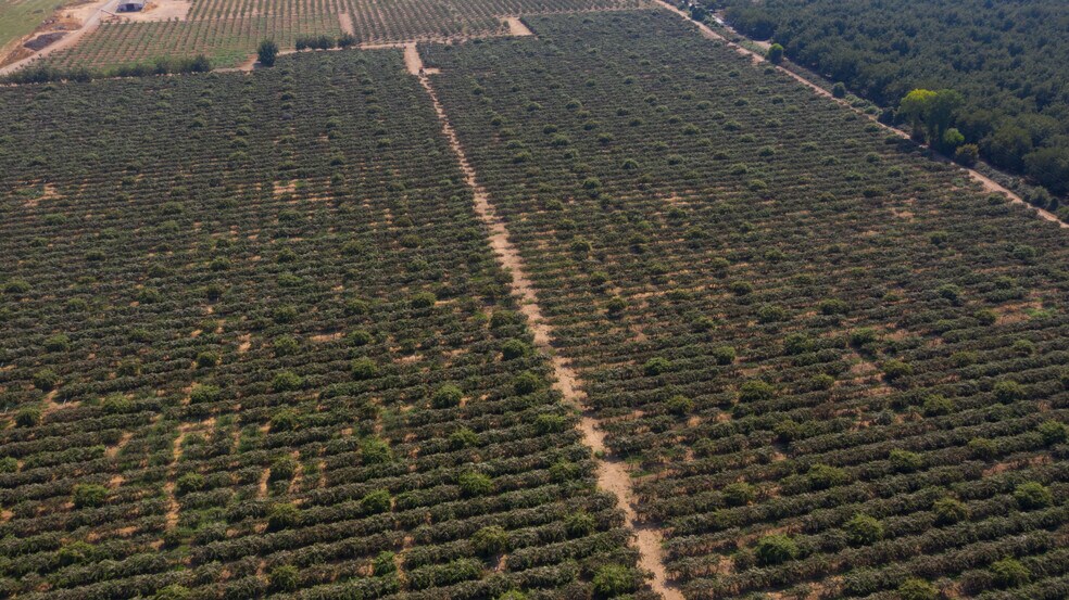 More Photos Of 2099 Hwy 70, Biggs Land For Sale