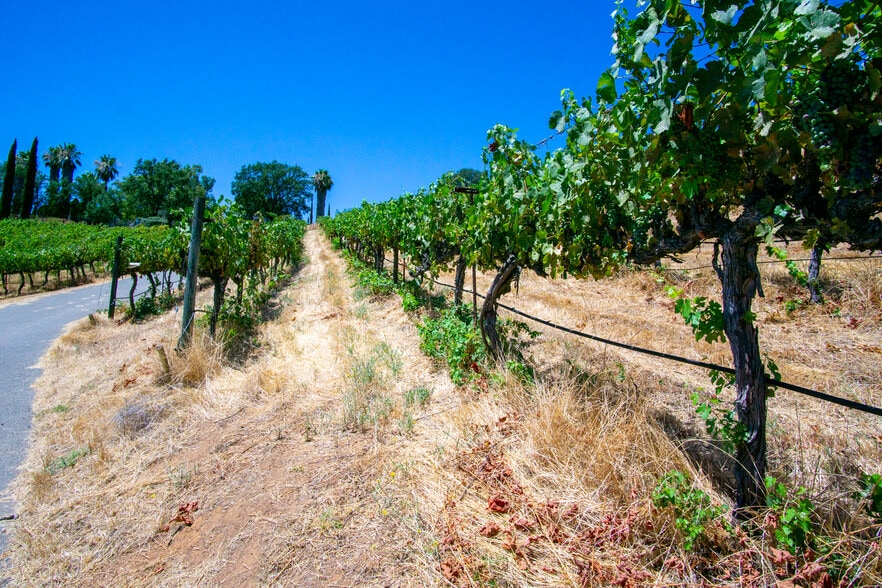 More Photos Of 7071 Ridge Road, Newcastle Winery Vineyard For Sale
