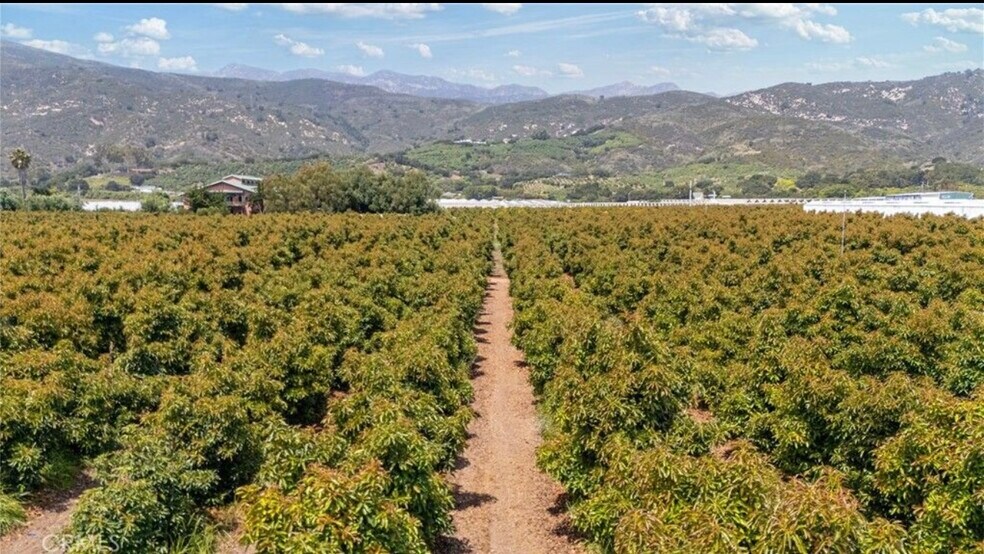 More Photos Of 5360 Foothill Rd, Carpinteria Flex For Sale