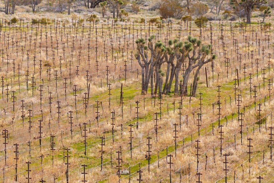 More Photos Of Fort Tejon Rd, Littlerock Land For Sale