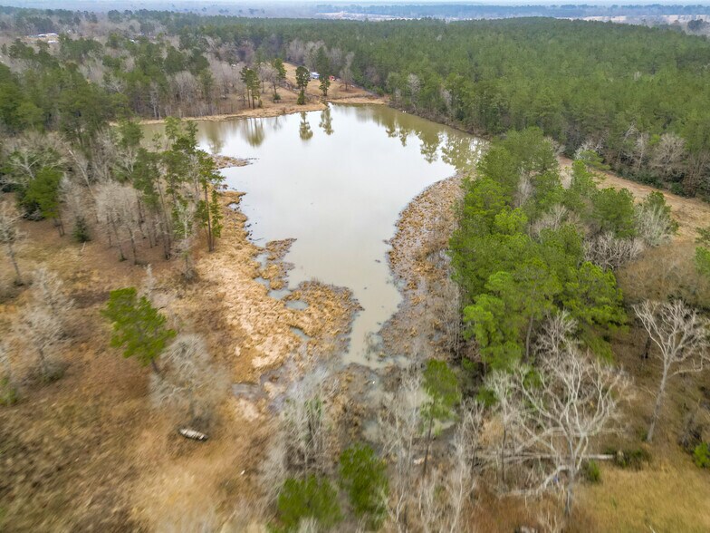 More Photos Of 31 Shady Ln, Shepherd Land For Sale