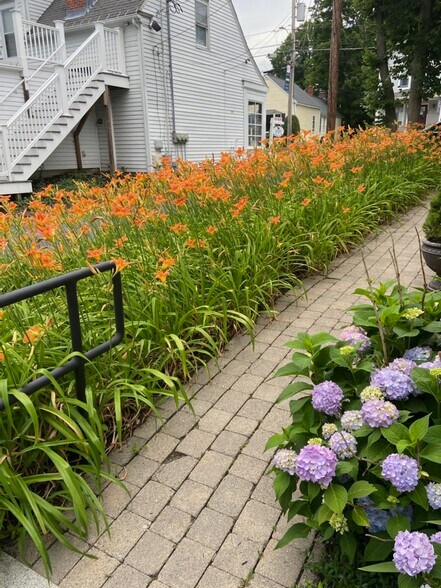 More Photos Of 353 Boston Post Rd, Sudbury Office For Lease