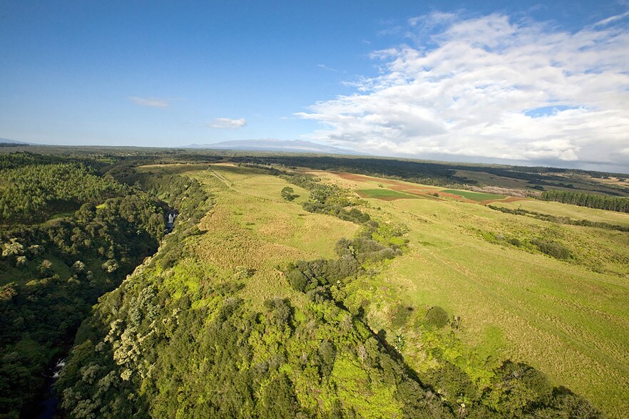 More Photos Of 27-5159 Puia Rd, Papaikou Land For Sale