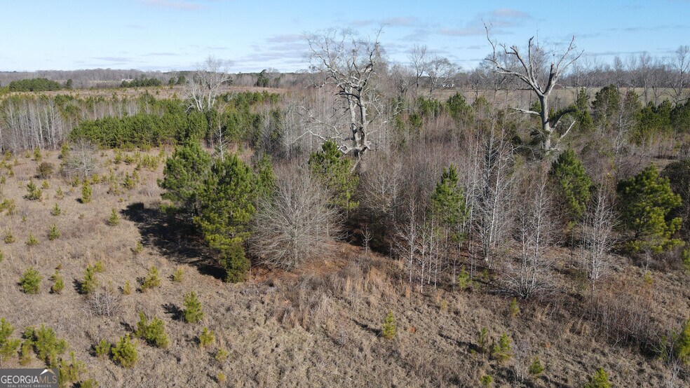 More Photos Of 0 Old Chipey Rd, Pine Mountain Land For Sale