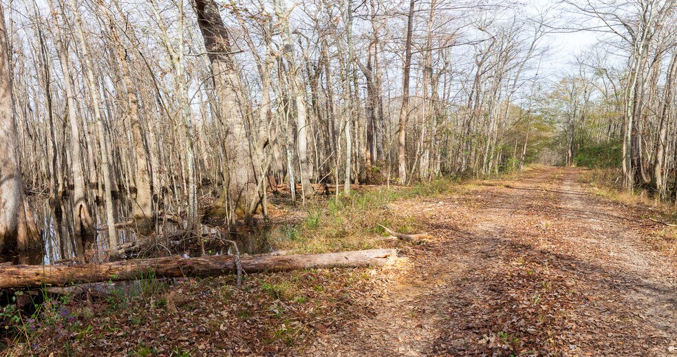 More Photos Of 409 Windward Ave, Orangeburg Land For Sale