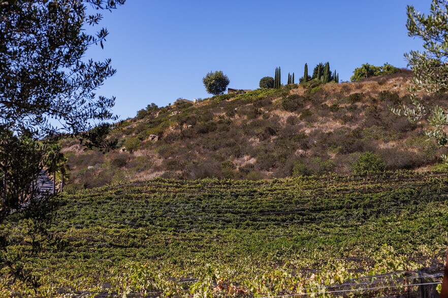 More Photos Of 2286 Sunshine Mountain Rd, San Marcos Winery Vineyard For Sale