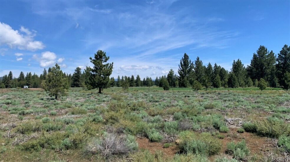 More Photos Of 10110 Soaring Way, Truckee Land For Sale