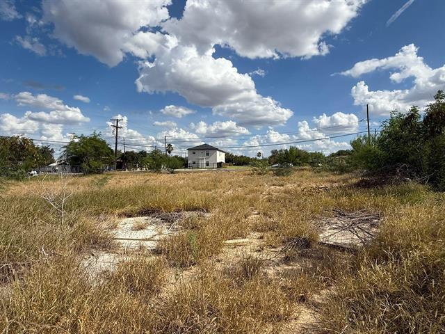 More Photos Of Canada & O'Kane, Laredo Land For Sale